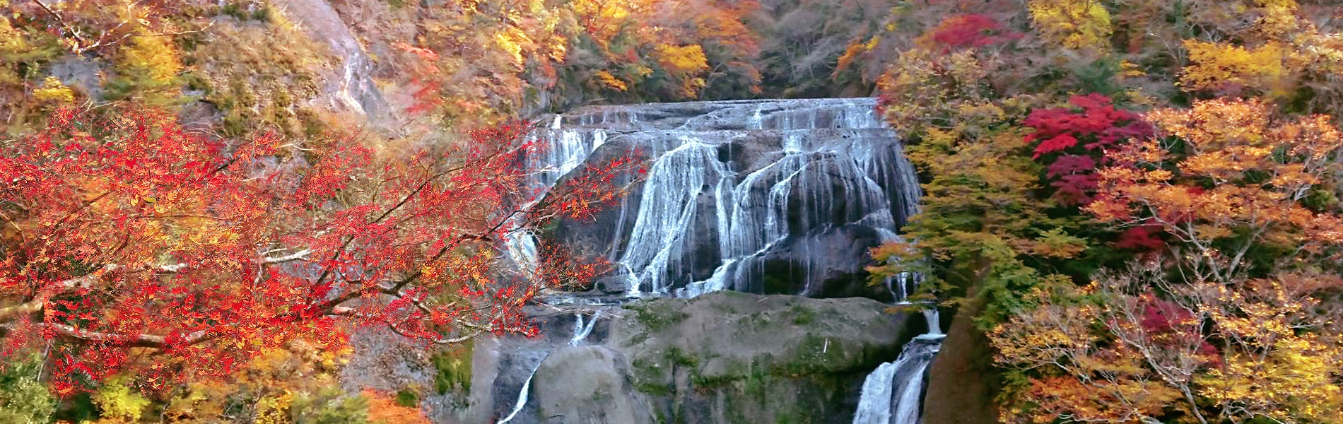 紅葉（袋田の滝）